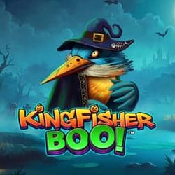 Kingfisher Boo